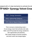 The 3-step skin activation mechanism of Aesthein Velvet Cream: Energy Generation, Antioxidant Defense, and Barrier Repair.