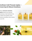RE:BL Rebloom Luxury Jojoba Oil 50ml
