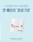 [ECLADO] Cell memory Cream Anti - Wrinkle [200g] 셀 메모리 대 용량 크림