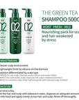 [AMOS]The Green Tea Shampoo Moist 500g 아모스 녹차실감 모이스처 샴푸