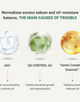 Acne care cream that normalizes excess sebum and oil–moisture balance with AGC, QS CONTROL AC, Tannin Complex™, and Evermat™