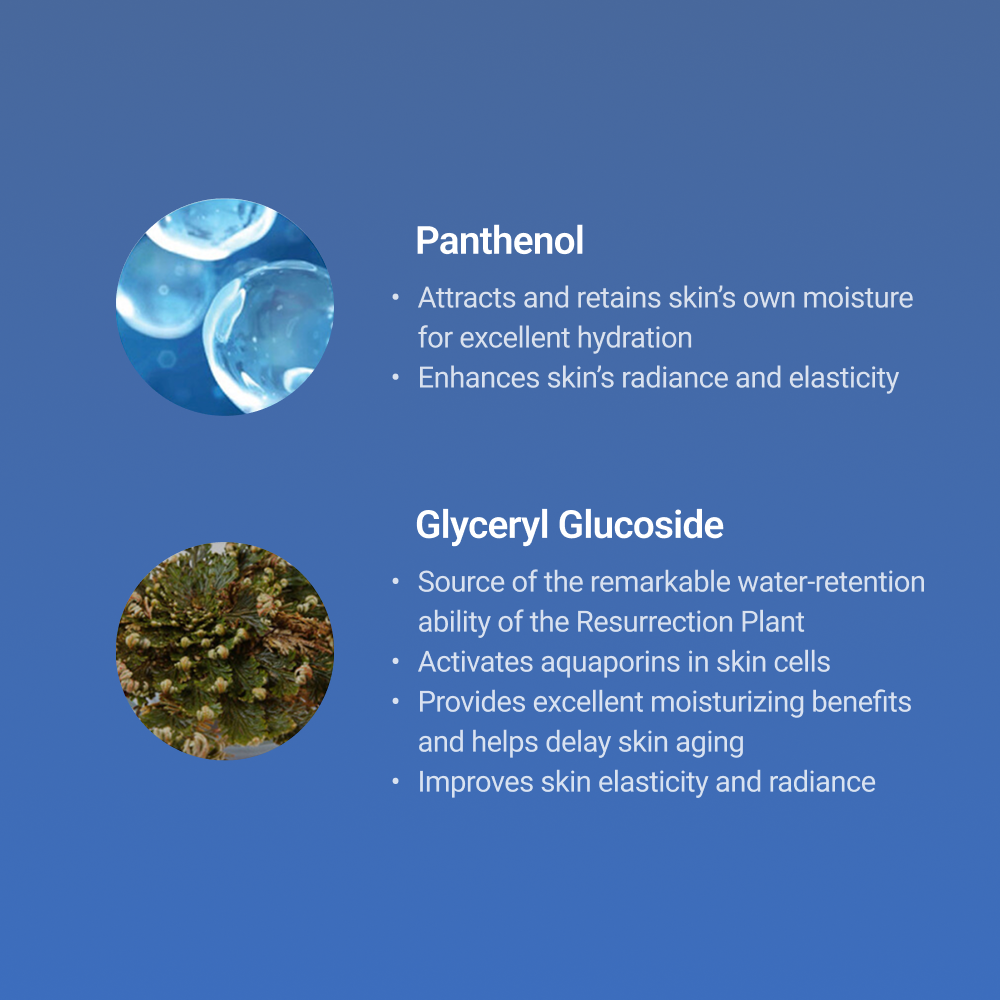 Moisturizing cream with Panthenol and Glyceryl Glucoside – activates aquaporins, boosts hydration, improves elasticity, and delays skin aging