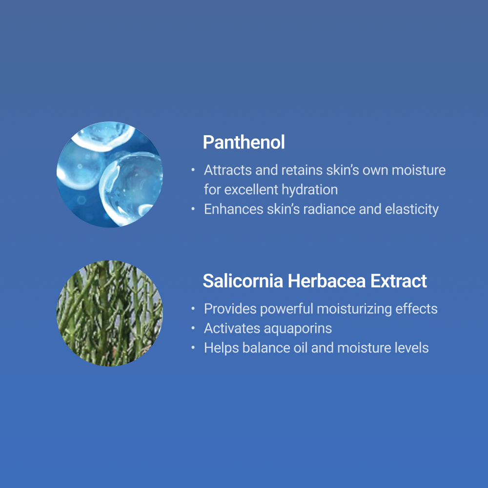Moisturizing cream with Panthenol and Salicornia Herbacea extract – enhances radiance, hydration, and balances skin moisture levels