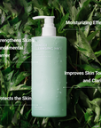 [ILLON] Danggi Cleansing Milk [500ml]