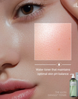 [ILLON] Danggi Toner [500ml]