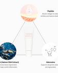 Anti-wrinkle cream for mature skin with PDRN, adenosine, and elasticity-enhancing peptides