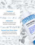 Highlight of 8 types of hyaluronic acid, Sacran, Aquaxyl™, Panthenol, Aqualicia, and Damask Rose Flower Water, emphasizing moisture-locking, barrier strengthening, soothing, and antioxidant properties.”