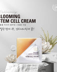 [RE:BL] Rebloom Stem Cell Cream 50ml 리블 스템셀 고영양크림