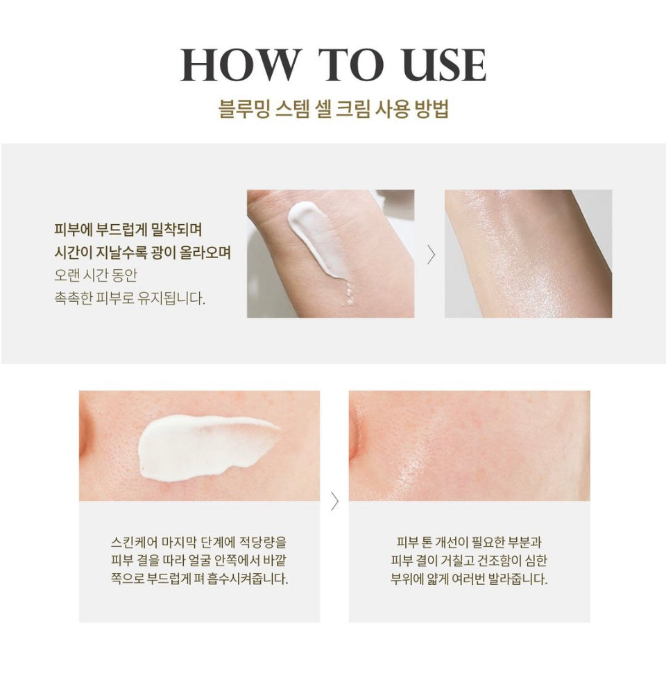 [RE:BL] Rebloom Stem Cell Cream 50ml 리블 스템셀 고영양크림